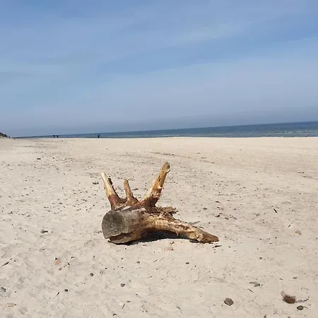 アパート Seaside Dune - Aleja Poludniowa 14a *