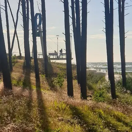 Seaside Dune - Aleja Poludniowa 14a * Dzwirzyno