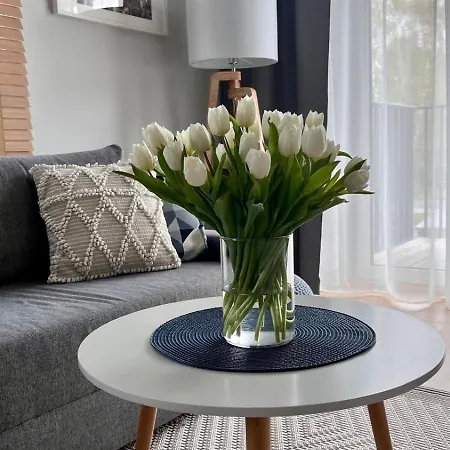 アパート Seaside Dune - Aleja Poludniowa 14a ジビジノ