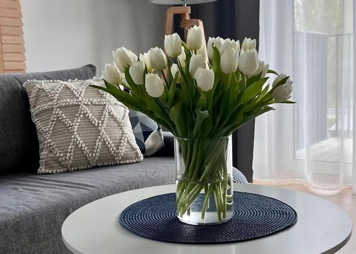 Appartement Seaside Dune - Aleja Poludniowa 14a Dźwirzyno